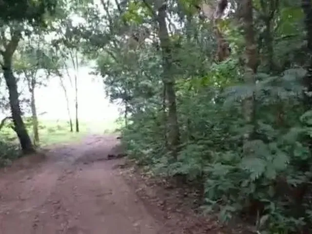 Imagem 8: Alugo Excelente Casa de Temporada