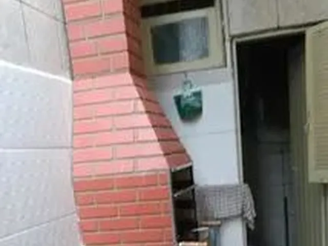 Imagem 11: .