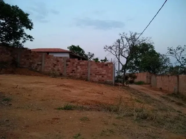 Imagem: Lote Tamanduá