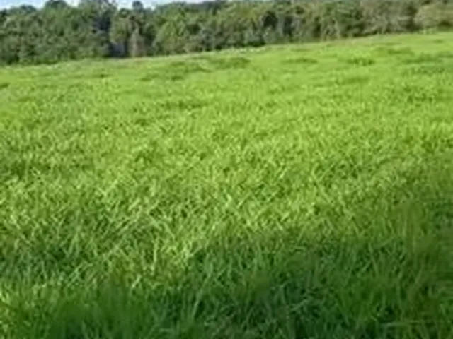 Imagem: Terreno Zona Rural/ Chácara/ Sítio