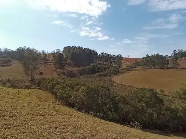 Imagem 4: Cod:1542 Excelente Sítio no Bairro Fernandes