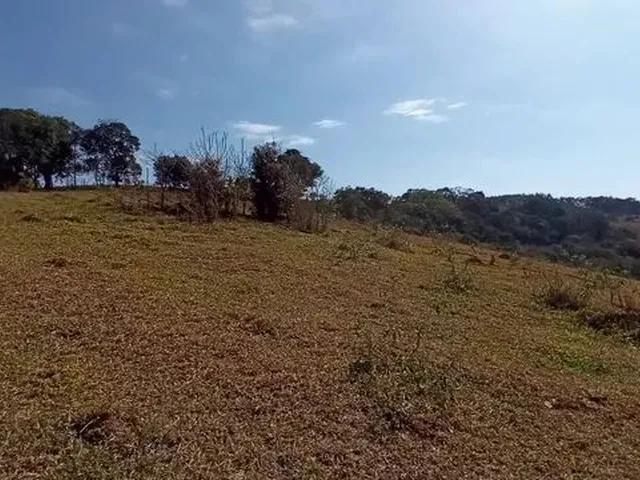 Imagem 5: Cod:1542 Excelente Sítio no Bairro Fernandes
