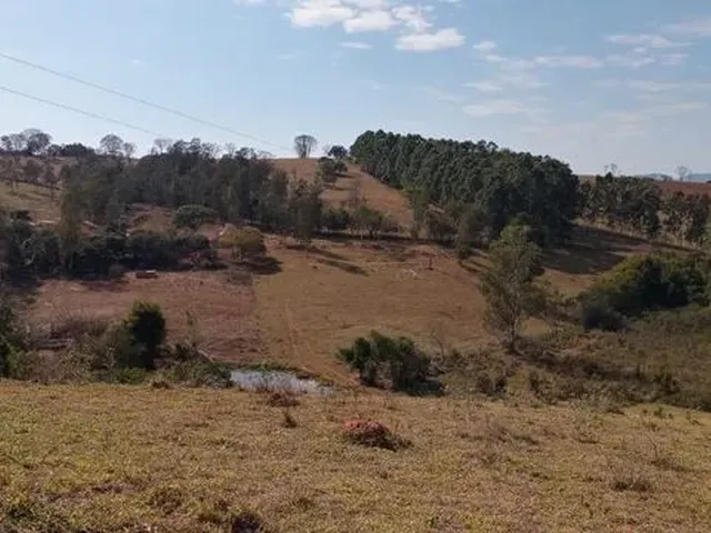 Imagem 6: Cod:1542 Excelente Sítio no Bairro Fernandes