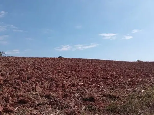 Imagem 7: Cod:1542 Excelente Sítio no Bairro Fernandes