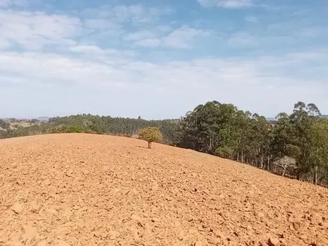 Imagem 9: Cod:1542 Excelente Sítio no Bairro Fernandes