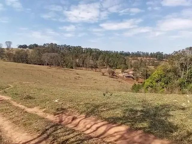 Imagem 12: Cod:1542 Excelente Sítio no Bairro Fernandes