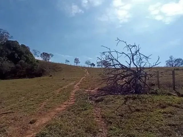 Imagem 13: Cod:1542 Excelente Sítio no Bairro Fernandes