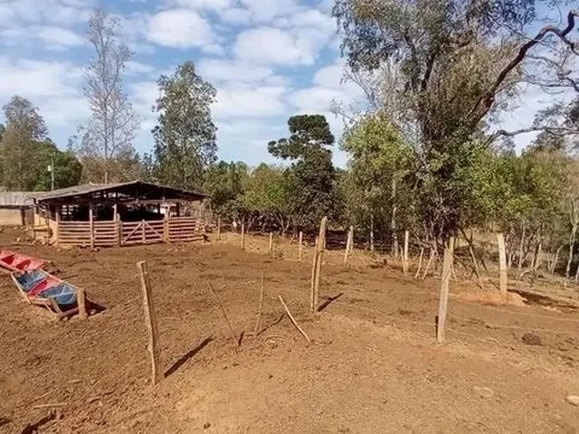 Imagem 14: Cod:1542 Excelente Sítio no Bairro Fernandes