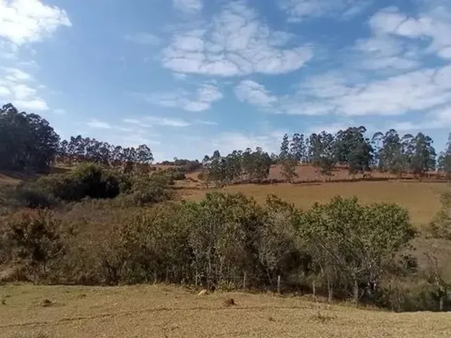Imagem 16: Cod:1542 Excelente Sítio no Bairro Fernandes