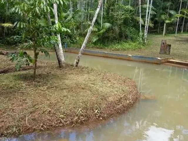 Imagem: Sítio Itaqui Castanhal 4 Km Br