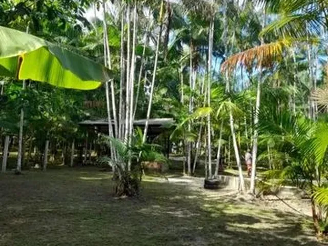 Imagem 4: Sítio Itaqui Castanhal 4 Km Br