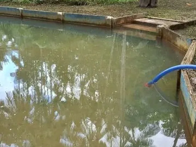 Imagem 7: Sítio Itaqui Castanhal 4 Km Br