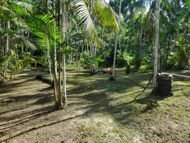 Imagem 8: Sítio Itaqui Castanhal 4 Km Br