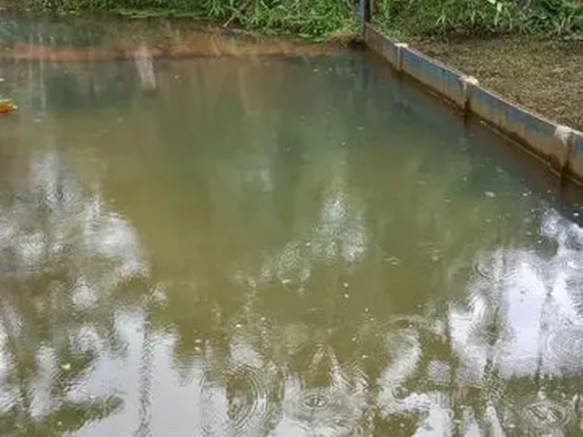 Imagem 10: Sítio Itaqui Castanhal 4 Km Br