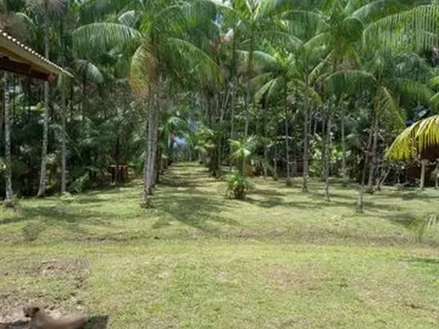 Imagem 16: Sítio Itaqui Castanhal 4 Km Br