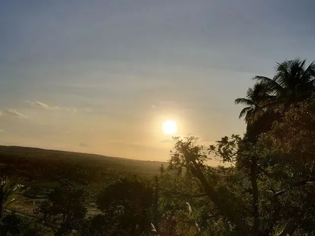 Imagem: Vende-Se Propriedade Rural em Alhandra