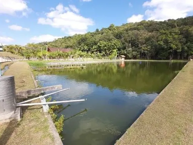 Imagem 13: Sitio Pronto para Morar 235.000,00 M²