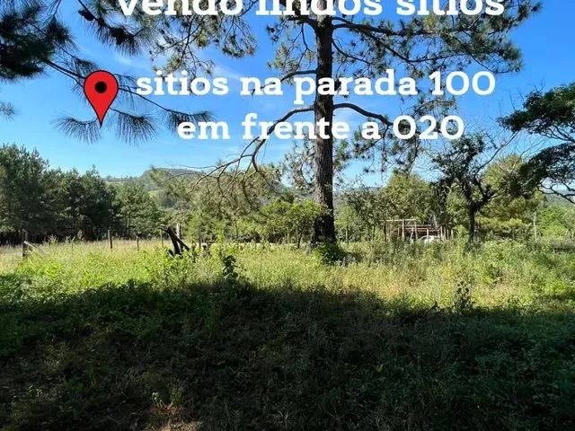 Imagem: Vendo Um Sítio com Vista Panorâmica Morungava