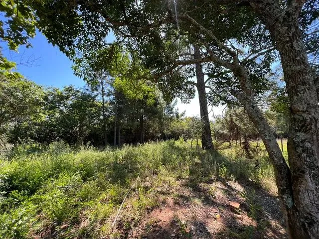 Imagem 3: Vendo Um Sítio com Vista Panorâmica Morungava