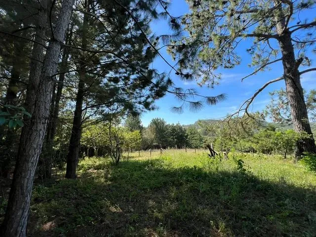 Imagem 4: Vendo Um Sítio com Vista Panorâmica Morungava