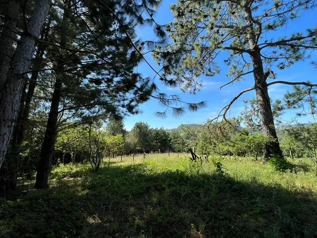 Imagem 5: Vendo Um Sítio com Vista Panorâmica Morungava