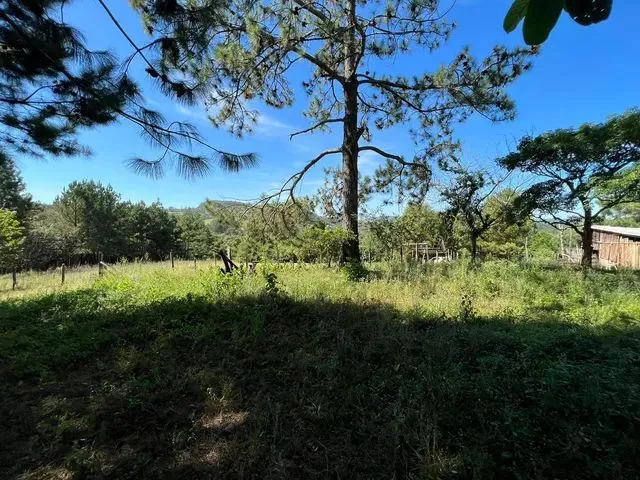 Imagem 6: Vendo Um Sítio com Vista Panorâmica Morungava