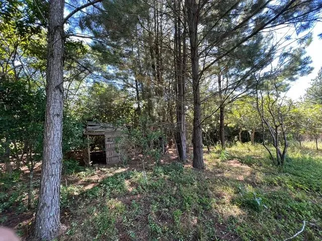 Imagem 8: Vendo Um Sítio com Vista Panorâmica Morungava