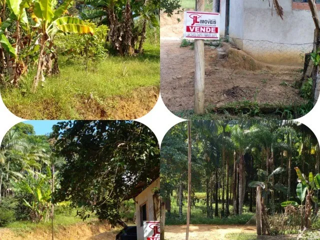Imagem: V2415 Área no Faisqueirinha