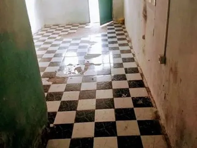 Imagem 3: Aluga-Se Casa na Restinga Nova