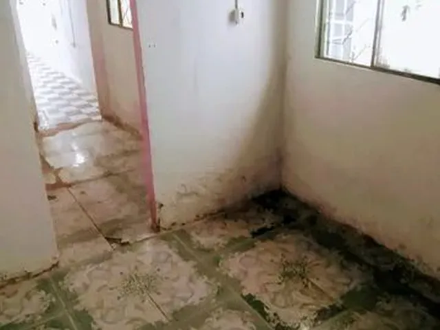 Imagem 4: Aluga-Se Casa na Restinga Nova