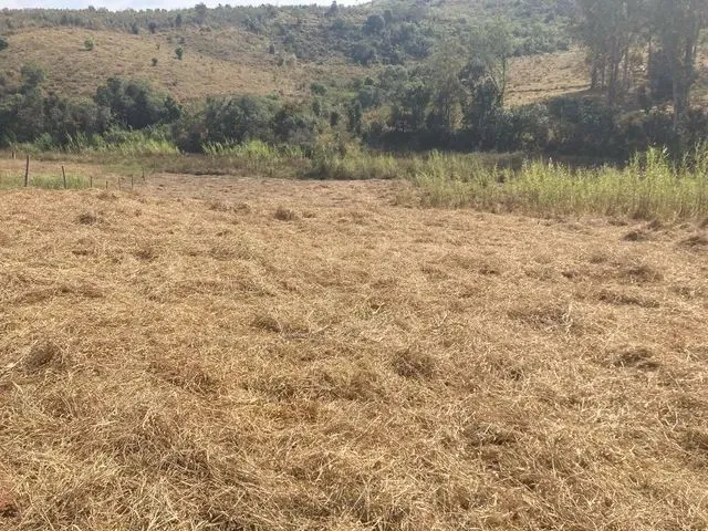 Imagem: Chacara Linda em Jacutinga Mg