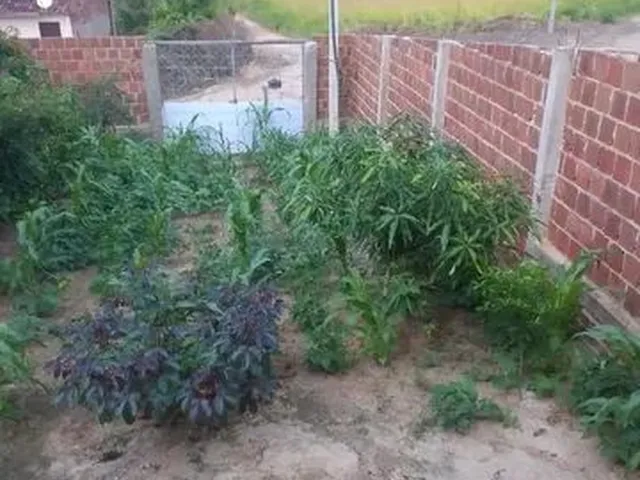 Imagem 4: Vendo Casa. Varanda, 1 Banheiroe2 Dormitórios