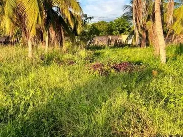 Imagem: Terreno no Hélio Campos