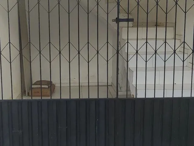 Imagem 6: Alugo Uma Casa no Santos Dumont