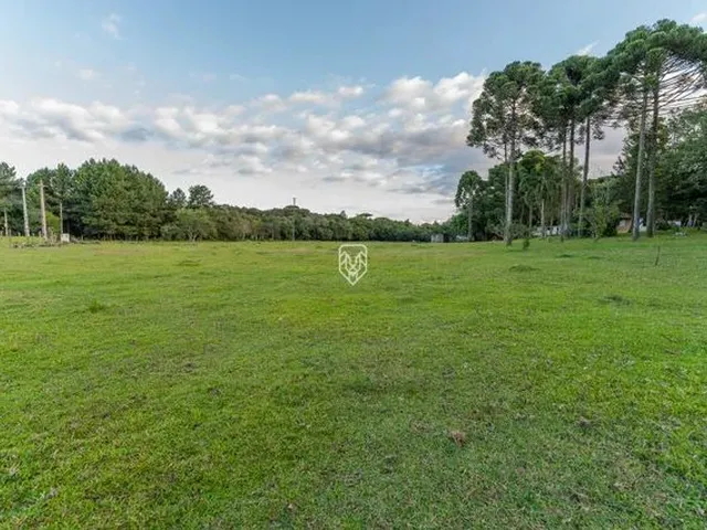 Imagem: Terreno na Br277