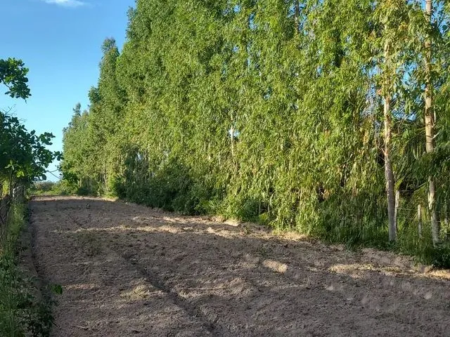 Imagem 2: Lotes de Terreno Á 200M do Buraco Azul de Caiçara