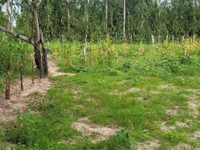Imagem 3: Lotes de Terreno Á 200M do Buraco Azul de Caiçara