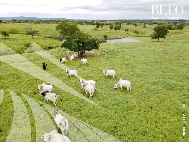 Imagem: Fazenda para Venda em Pombos, Zona Rural