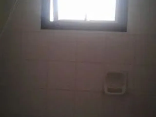Imagem 2: .