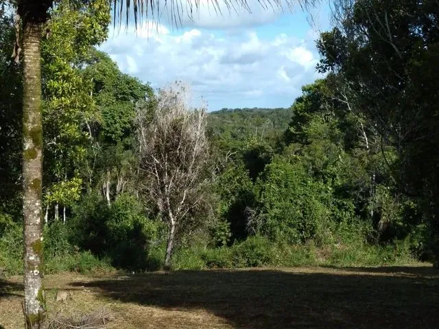 Imagem 4: Vendo Fazenda em Valença Oportunidade