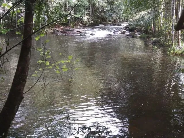 Imagem 11: Vendo Fazenda em Valença Oportunidade
