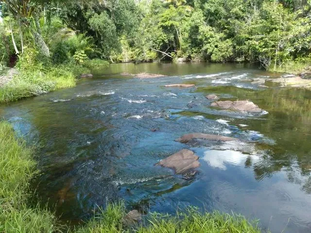 Imagem 14: Vendo Fazenda em Valença Oportunidade