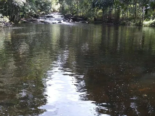 Imagem 15: Vendo Fazenda em Valença Oportunidade