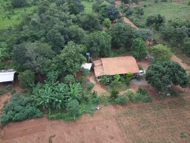 Imagem: Chácara de 5,6 Hectares no Município de