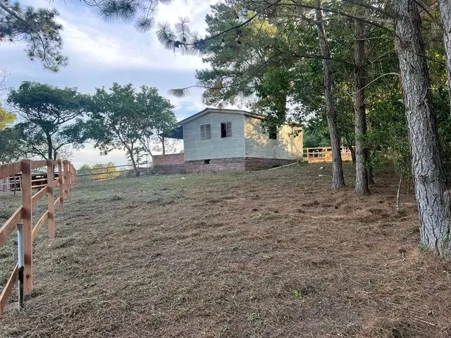 Imagem 3: Vendo Um Sítio com Casa Morungava
