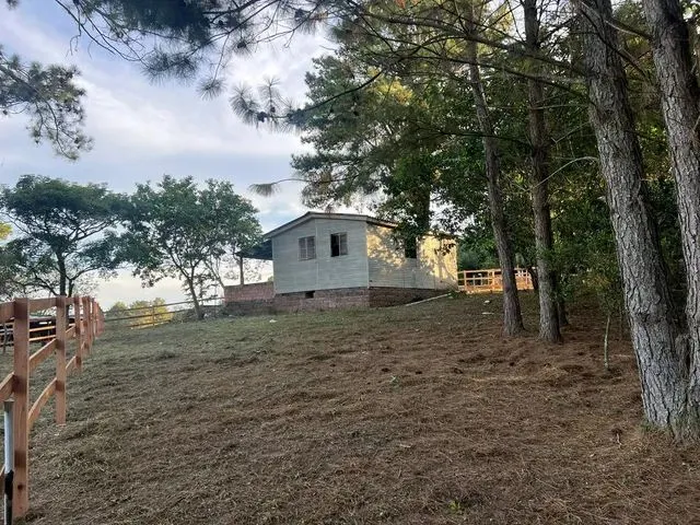 Imagem 5: Vendo Um Sítio com Casa Morungava