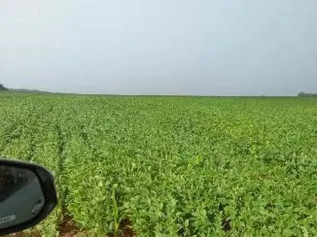 Imagem: A fazenda possui 900m² de Área e está localizado em Setor