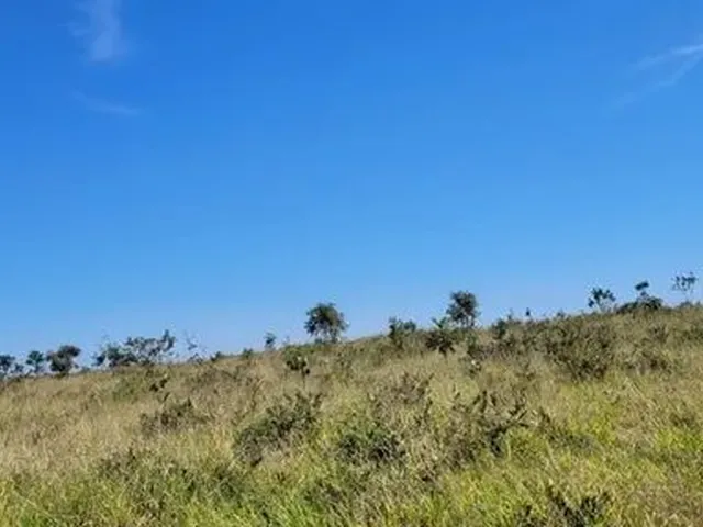 Imagem: Tenha Sua Chácara com 5.000 M² À 16,5
