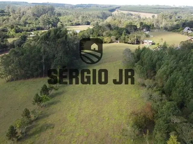 Imagem 3: Área de Terra com 5.000M², Luz e Poço Artesiano em Triunfo