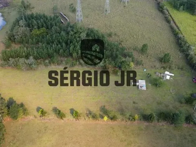 Imagem 5: Área de Terra com 5.000M², Luz e Poço Artesiano em Triunfo